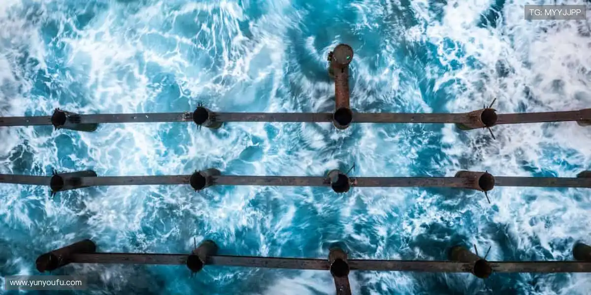 正品周边彰显态度,球迷专属热血收藏🎯